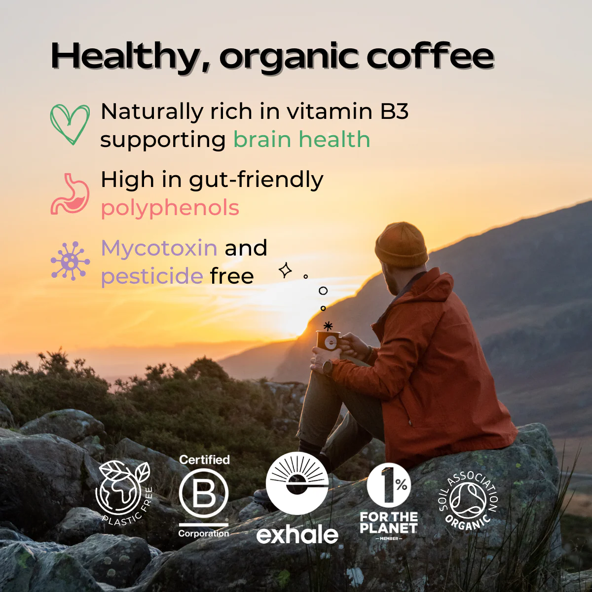Organic Decaf 75g - Image 4