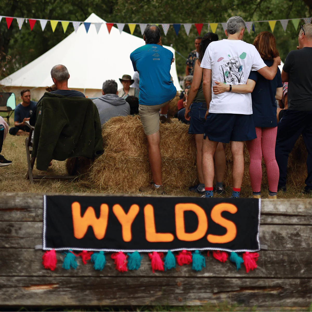 Wylds Weekend Ticket